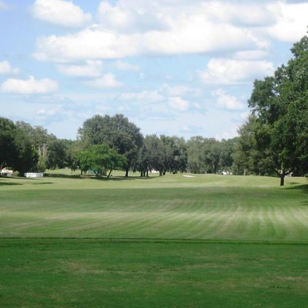 Villa House Near Tampa Zoo And Busch Gardens, Free High Speed Wifi Extérieur photo