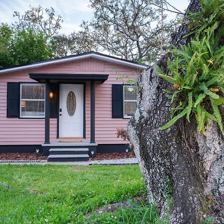 Villa House Near Tampa Zoo And Busch Gardens, Free High Speed Wifi Extérieur photo