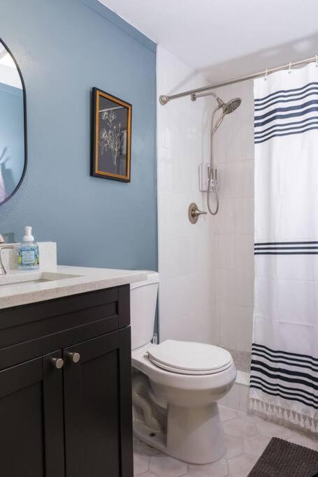 Villa House Near Tampa Zoo And Busch Gardens, Free High Speed Wifi Extérieur photo