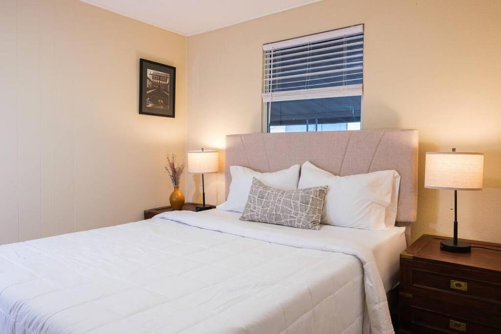 Villa House Near Tampa Zoo And Busch Gardens, Free High Speed Wifi Extérieur photo