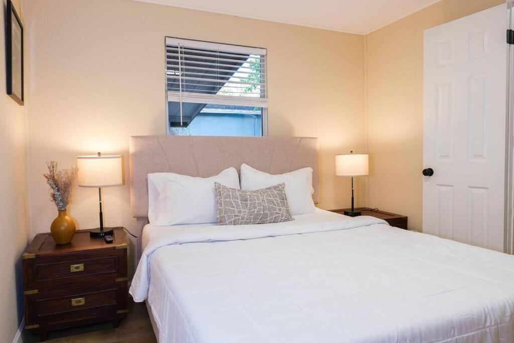 Villa House Near Tampa Zoo And Busch Gardens, Free High Speed Wifi Extérieur photo