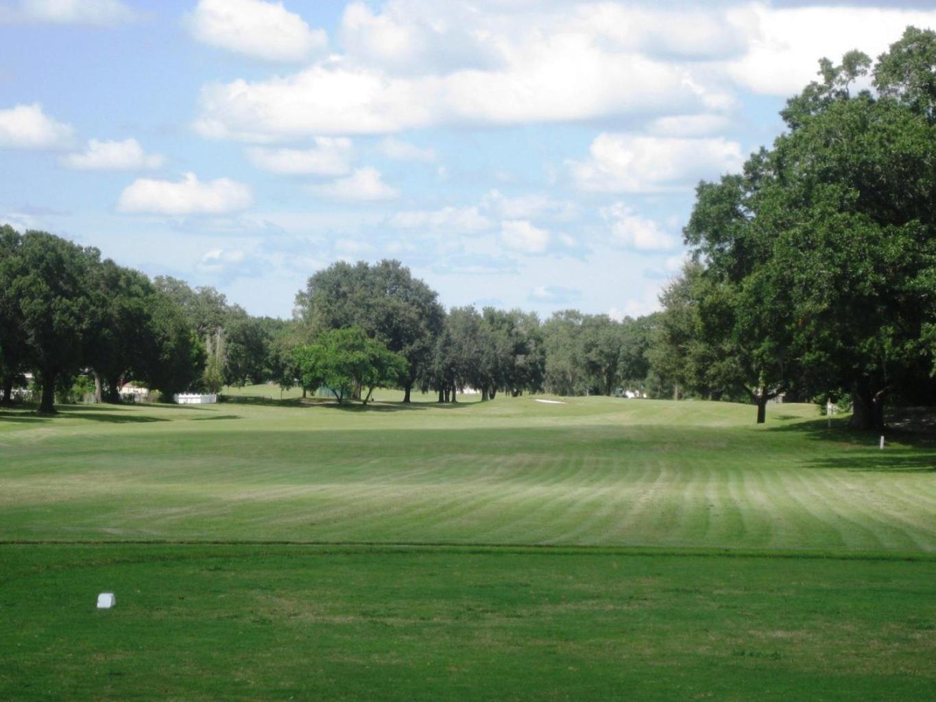 Villa House Near Tampa Zoo And Busch Gardens, Free High Speed Wifi Extérieur photo