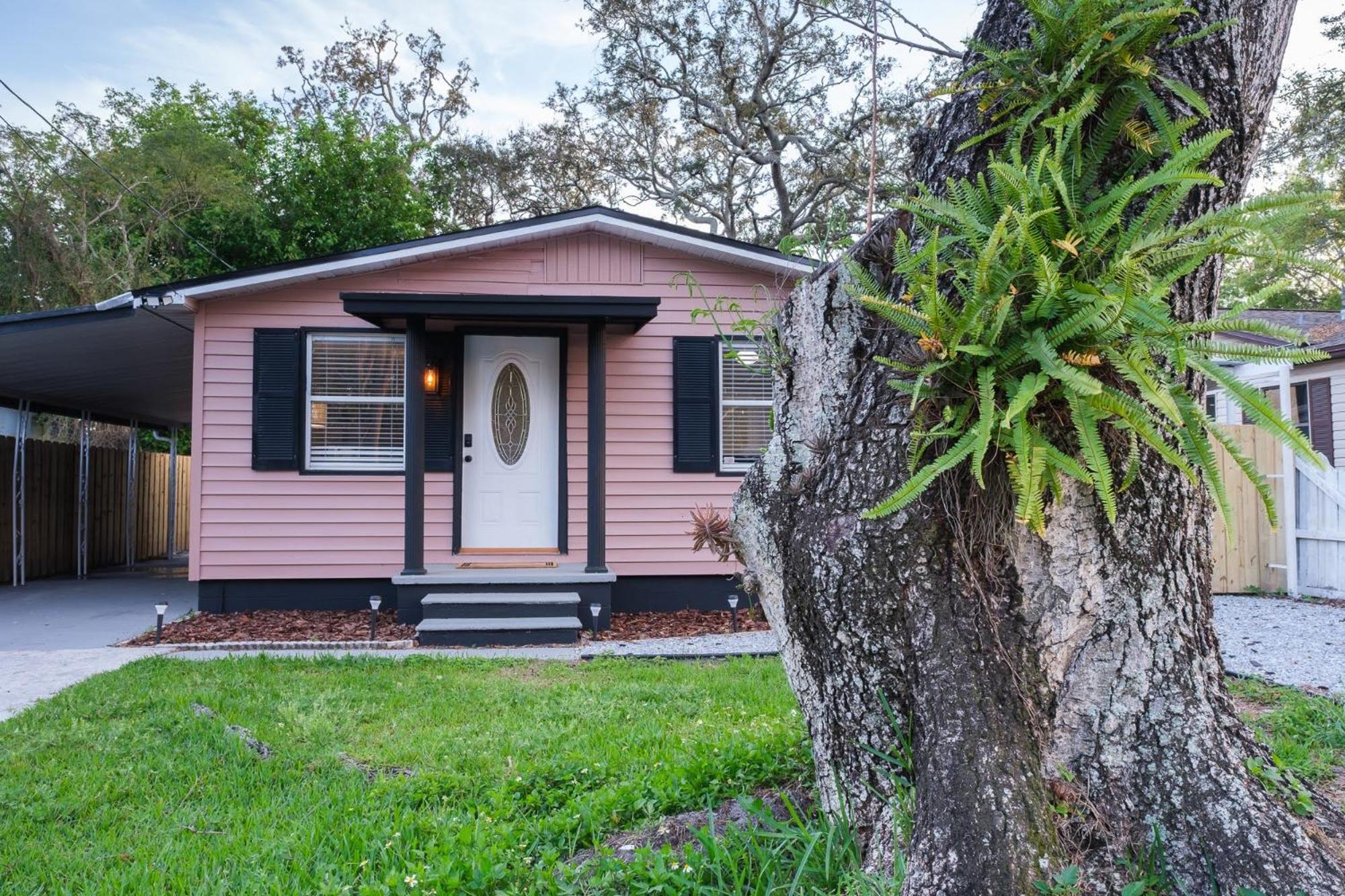 Villa House Near Tampa Zoo And Busch Gardens, Free High Speed Wifi Extérieur photo