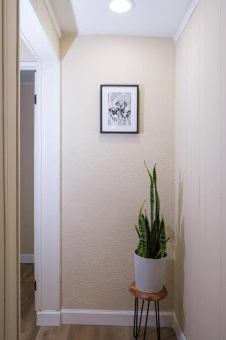 Villa House Near Tampa Zoo And Busch Gardens, Free High Speed Wifi Extérieur photo